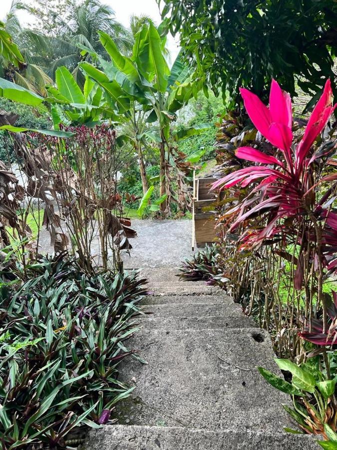 Casa Del Vega A Little Peace Of Heaven Hotel Castries Ngoại thất bức ảnh