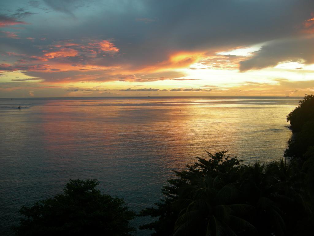 Casa Del Vega A Little Peace Of Heaven Hotel Castries Phòng bức ảnh