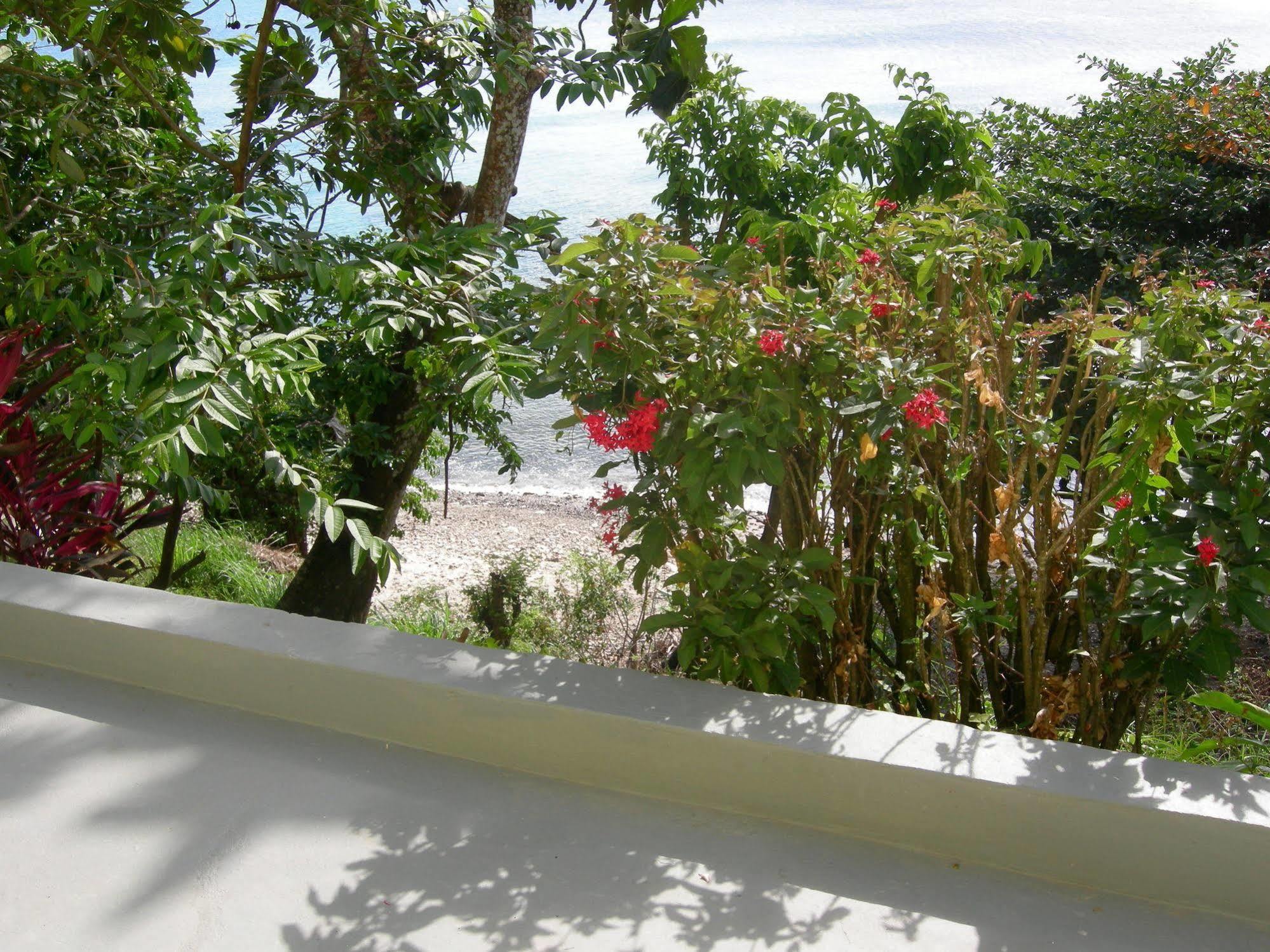 Casa Del Vega A Little Peace Of Heaven Hotel Castries Ngoại thất bức ảnh